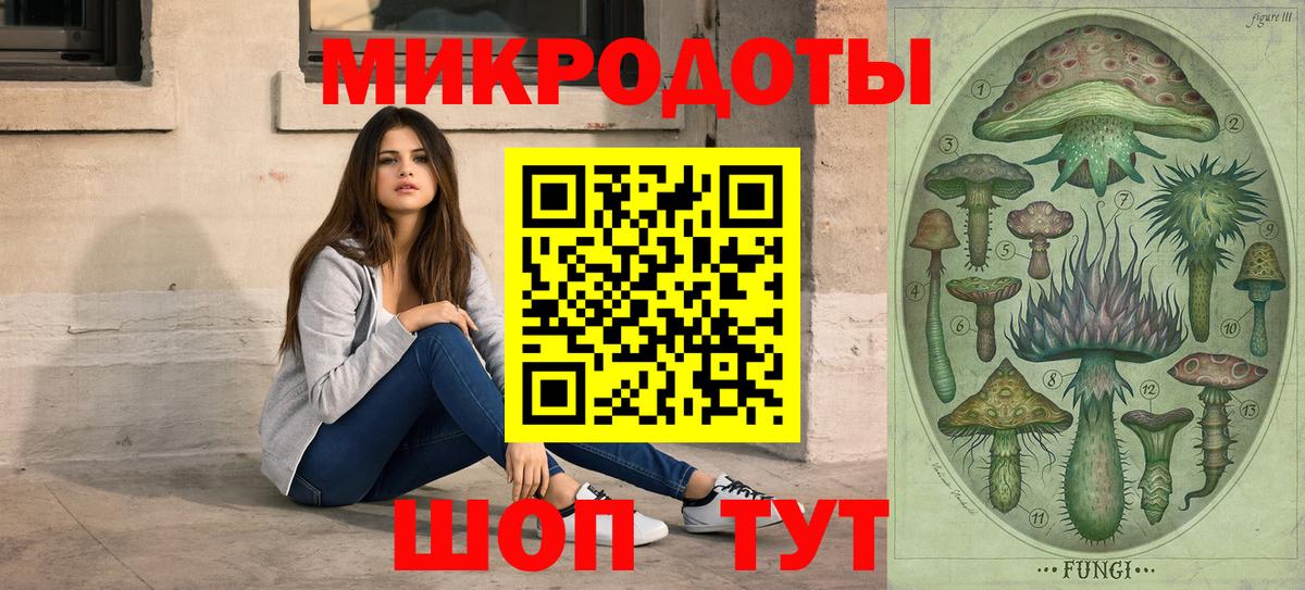 где найти наркотики  Псилоцибиновые грибы Magic Shrooms  Вход с VPN  Качканар 