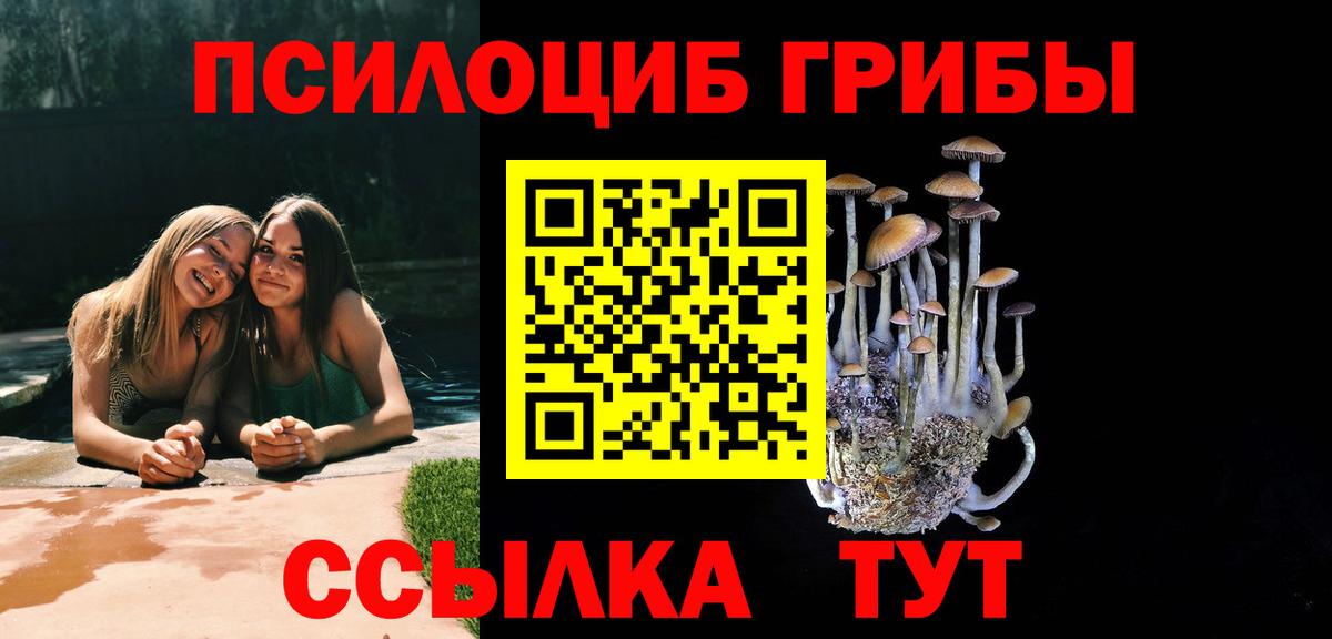 Галлюциногенные грибы мицелий Качканар